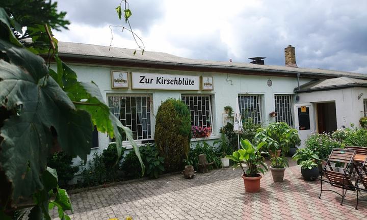 Zur Kirschblüte